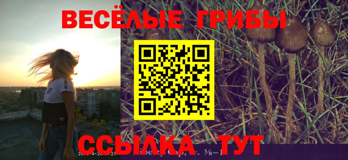 Псилоцибиновые грибы прущие грибы Родники